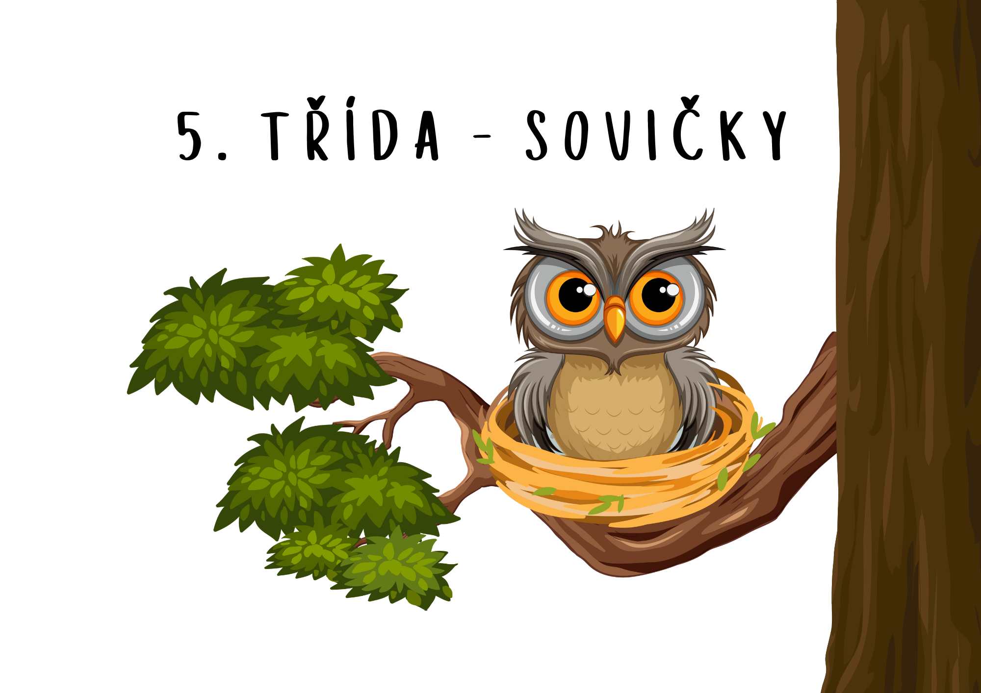 5. třída - Sovičky - předškolní
