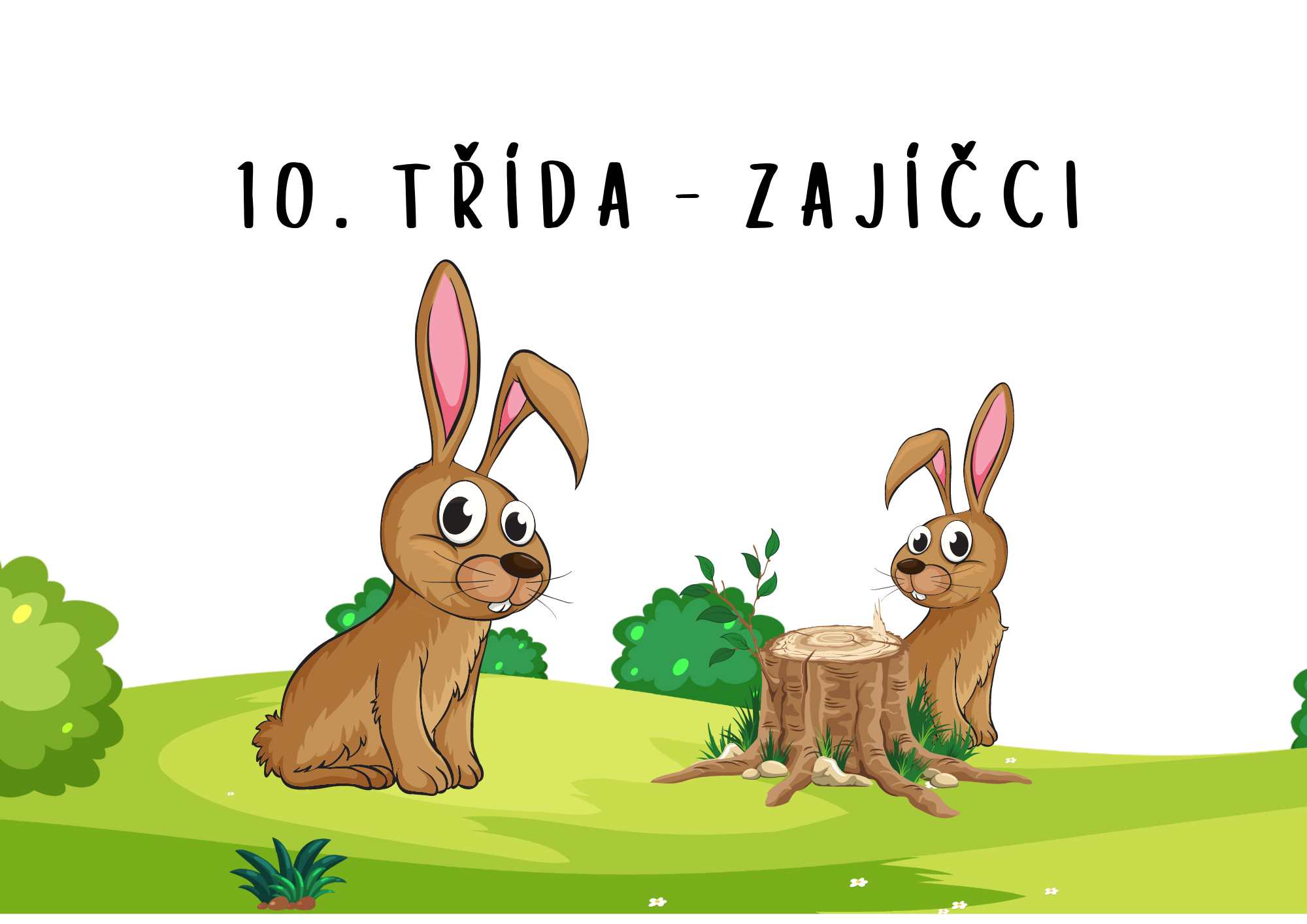 10. třída - Zajíčci - předškolní