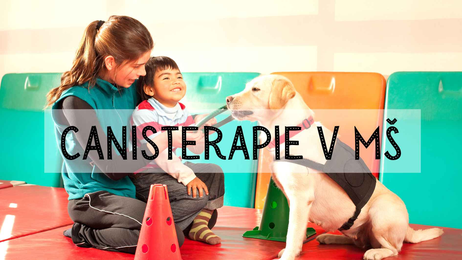 Canisterapie v MŠ